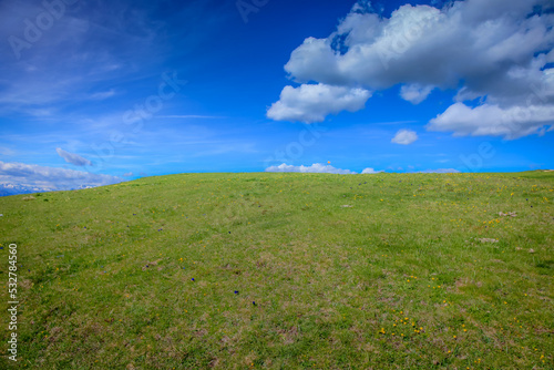 Alpine meadows landscape at springtime in Dolomites alps, Italy near Austria photo