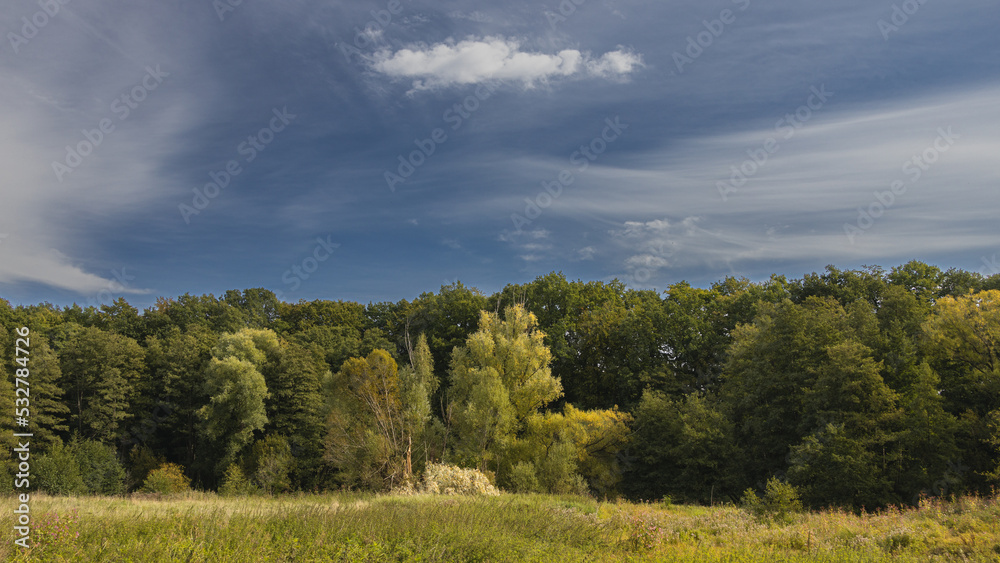 Gorgeous blue sky over the edge of the forest Gorgeous blue sky over the edge of the forest