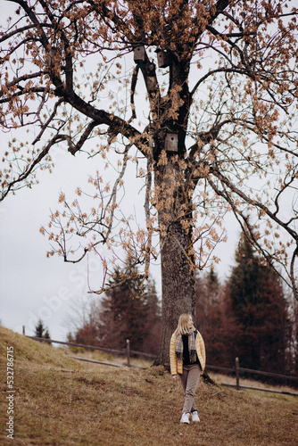 person walking in the mountains 