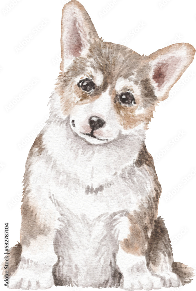 Obraz premium Corgi dog watercolour illustration png