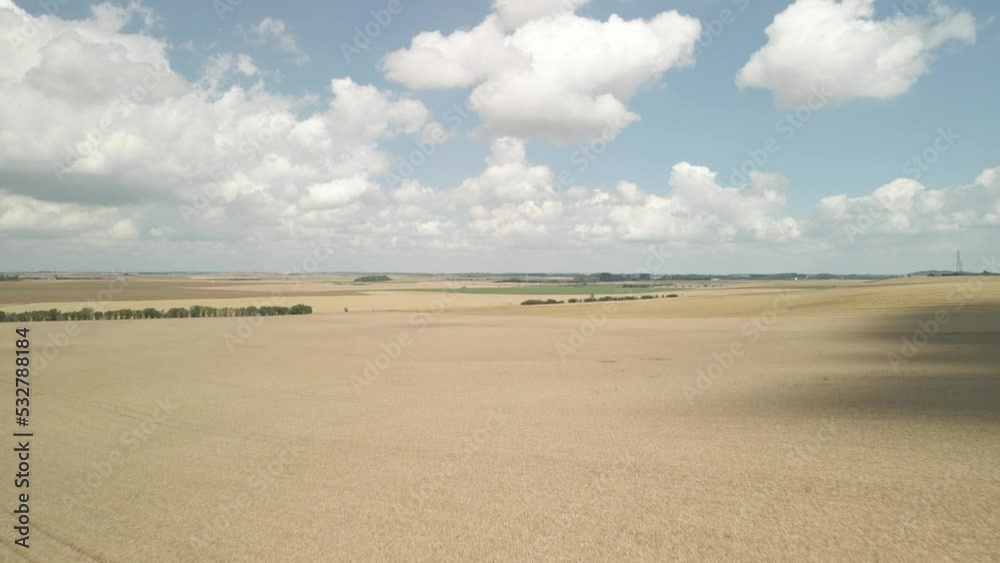 Aerial Top View Of A Agriculture Fields. Aerial View Of A Wheat Fields Aerial Top View Of A Agriculture Fields. Aerial View Of A Wheat Fields