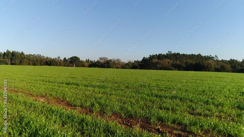 View of the Green Field and Blue Sky View of the Green Field and Blue Sky