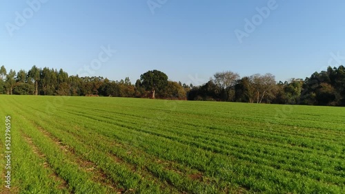 Wallpaper Mural View of the Green Field and Blue Sky Torontodigital.ca