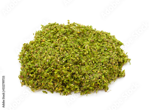 Heap green duckweed.