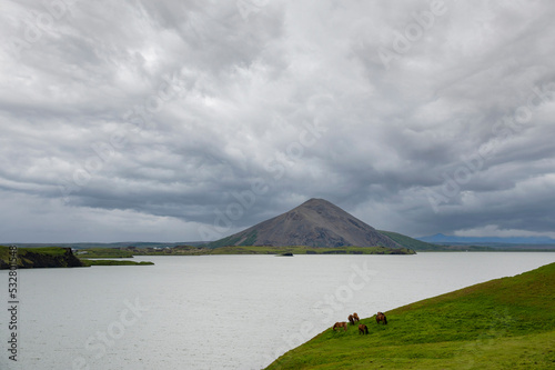 Landscape of lake Myvatn in Iceland photo