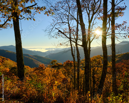 A beautiful early morning view through trees at an overlook on the Blue Ridge Parkway in North Carolina in autumn. 