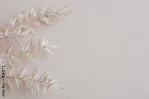 Dry branches pastel pink color frame top view with copy space. Flowers background.