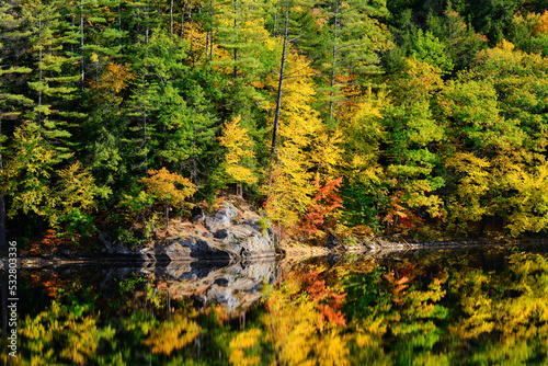 A beautiful woodland scene reflected on a mirror glass lake in Vermont in the autumn. 