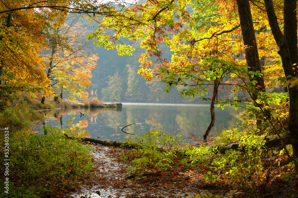 A small lake in autumn with reflections of the trees on the water. The scene is colorful in the early morning. A small lake in autumn with reflections of the trees on the water. The scene is colorful in the early morning.