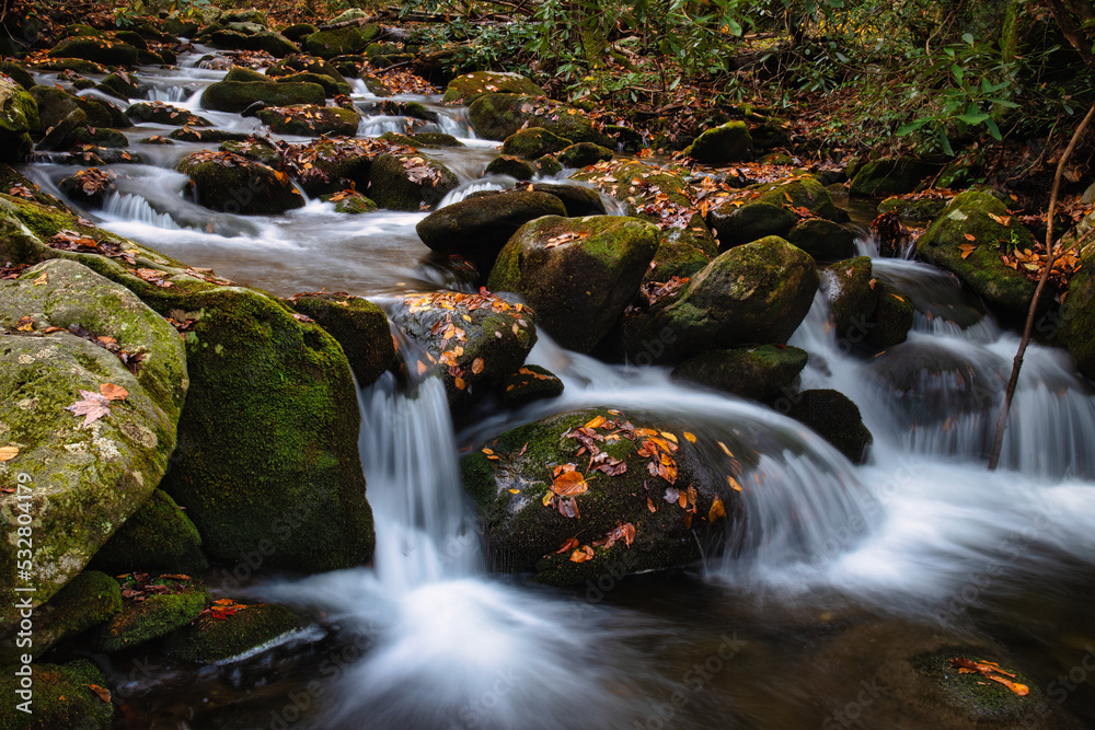 small mountain stream waterfall in the autumn