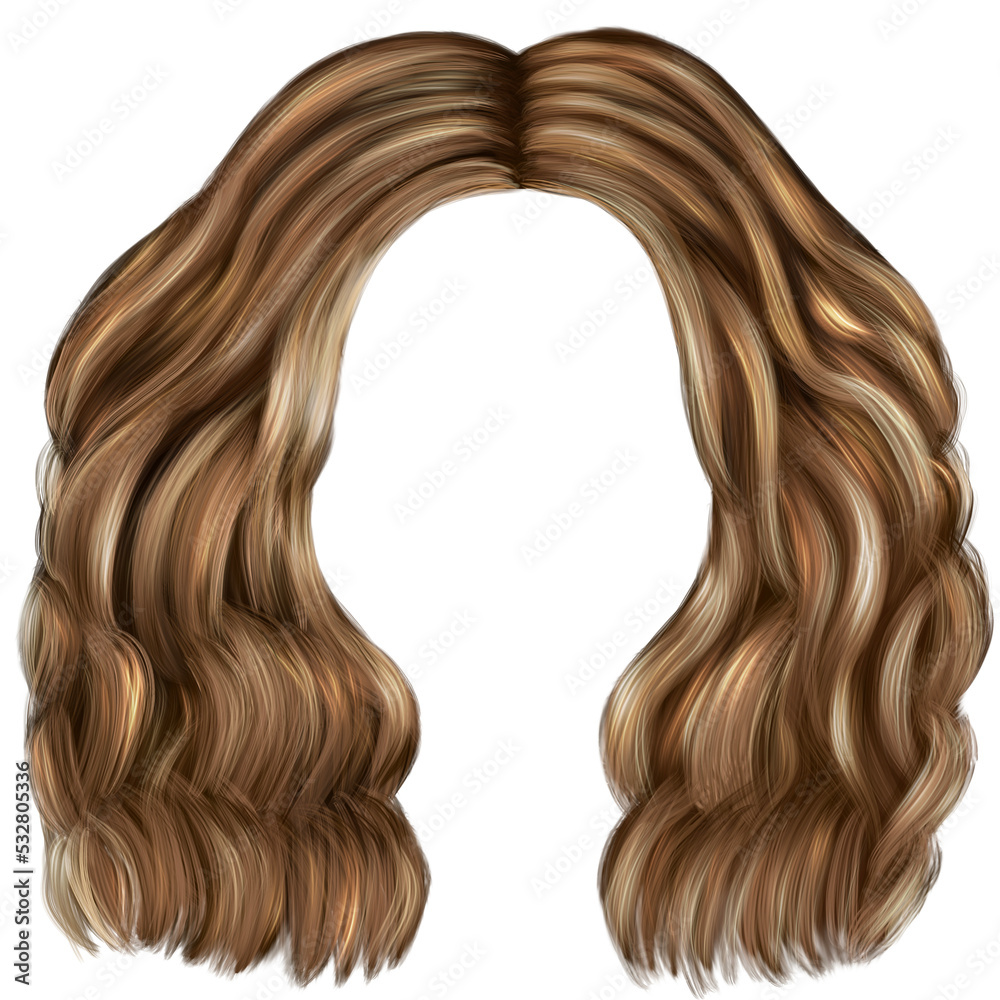 hair style woman isolated hair style woman isolated