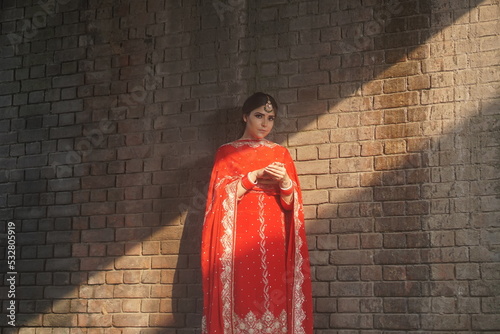 Принти на полотні punjabi girl wearing traditional dress