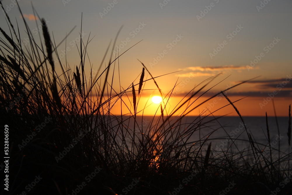 Sunset over the North Sea with dune grass in front on the island of Sylt/Germany