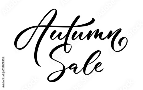 Hand drawn lettering - Autumn sale. Vector calligraphic text.