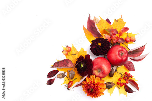 Composition of colorful fruits, berries, cones. Top view on white background. Autumn flat lay.