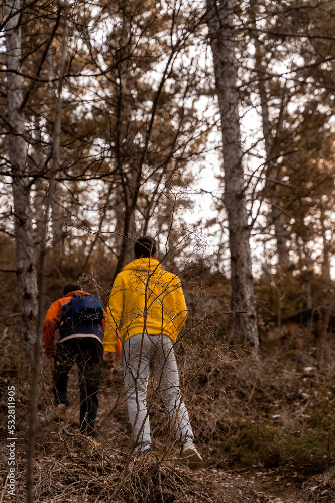 Hiking with the dog in the forest while having fun, selective focus Hiking with the dog in the forest while having fun, selective focus