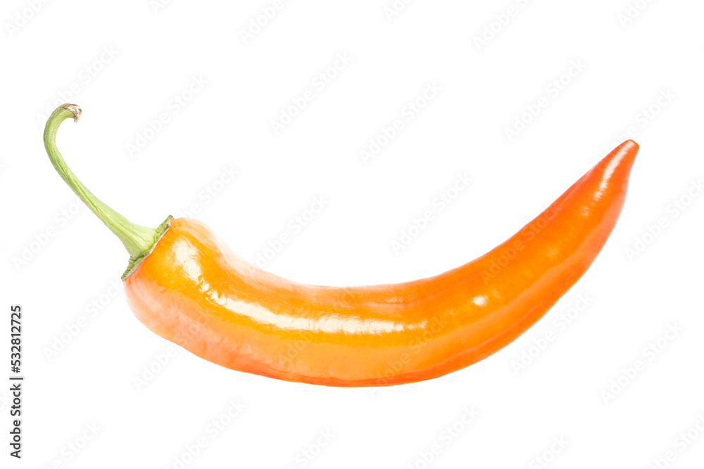 hot chili pepper isolated on a white background hot chili pepper isolated on a white background