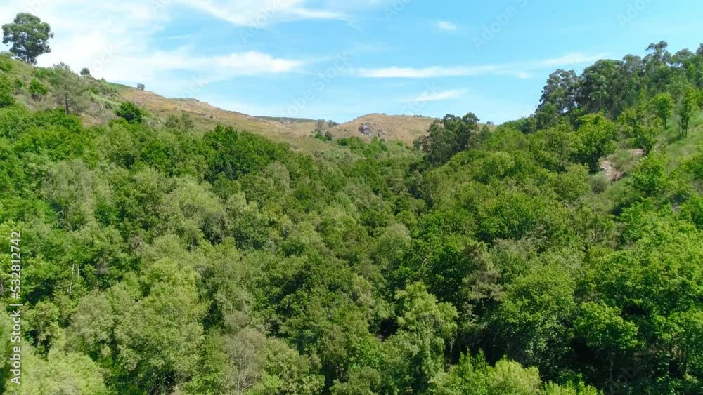Forest Aerial View Nature Landscape. Green Trees at Summer Day. Environment Background. Forest Aerial View Nature Landscape. Green Trees at Summer Day. Environment Background.