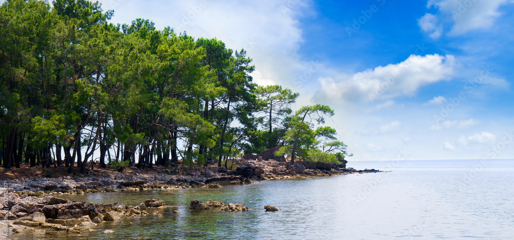 Picturesque lagoon, pine trees and blue sky. Wide photo.