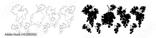 Bunch of grapes large and small in outline and black silhouette style. Set of grapes on bunch with leaves. Stock vector illustration, isolated on white background.