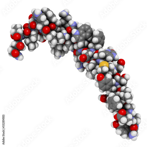 Gastric inhibitory polypeptide (GIP, glucose-dependent insulinotropic peptide) endocrine protein hormone. 3D illustration. photo