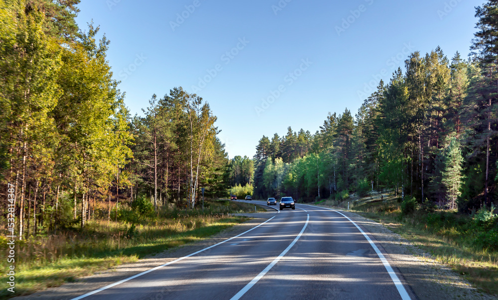 Asphalt highway with road markings through a coniferous forest in Latvia. EU. Nature landscape with highway road.