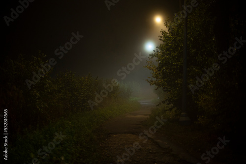 Fog at night in park. Fog in city. Lights and humid air.