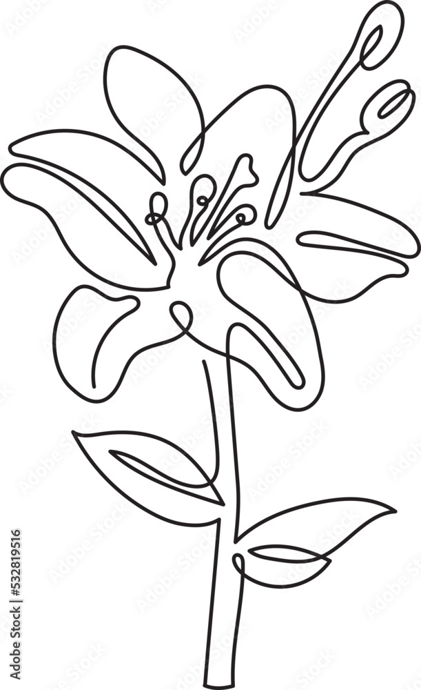 lily flower floral minimal outline art