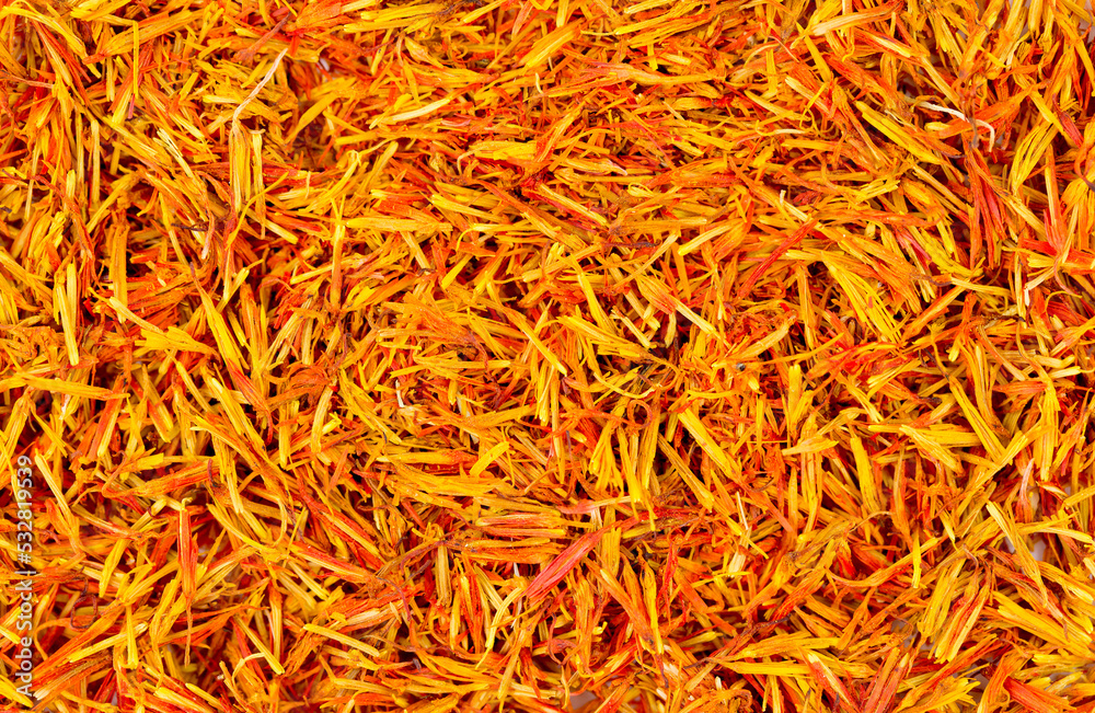 Saffron spice, pistils and stigmas of a crocus flower close-up, flat lay as a background. Indian and Arabic spices for cooking. Medicinal herbs and spices.