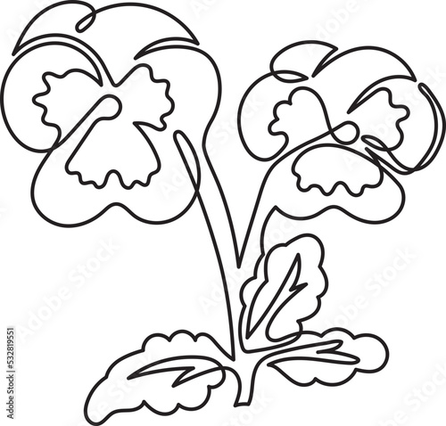 pansy flower floral minimal outline art