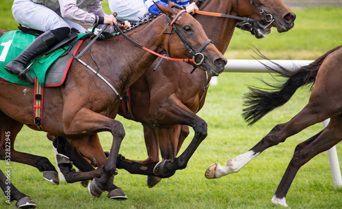 Close up on group of race horses and jockeys competing for position on the race track.