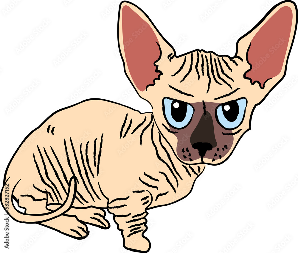 minskin cat breed clipart animal cartoon
