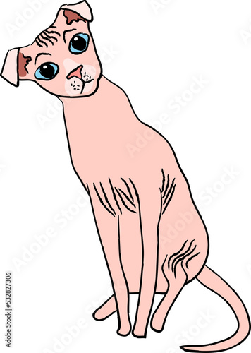 ukrainian levkoy cat breed clipart animal cartoon photo