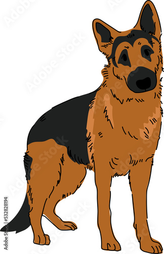 alsatian dog breeds puppy pet