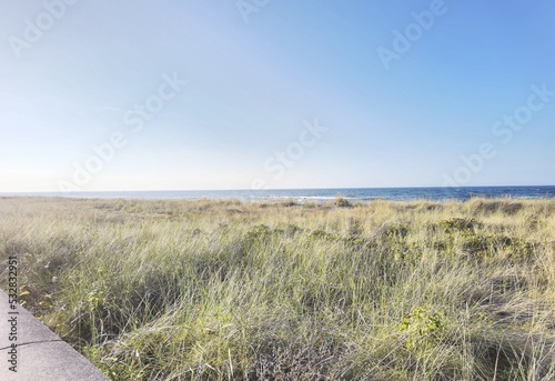 Fototapeta Naklejka Na Ścianę i Meble -  sand dunes