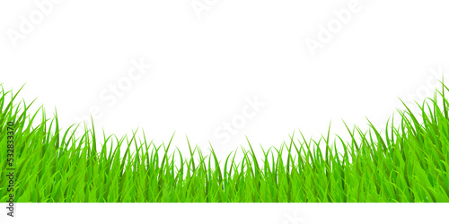Green Grass Elements on Transparent Background. Illustration