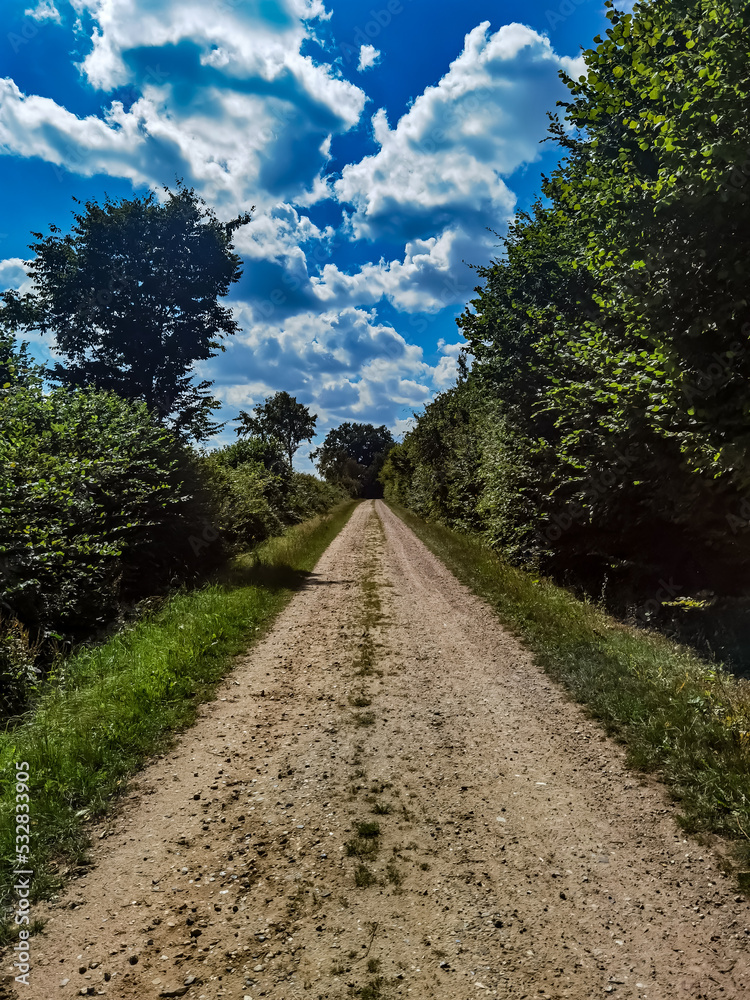 Fototapeta premium road in the countryside