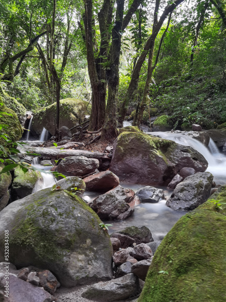 Cascada en la Reserva forestal de la Yeguada Cascada en la Reserva forestal de la Yeguada