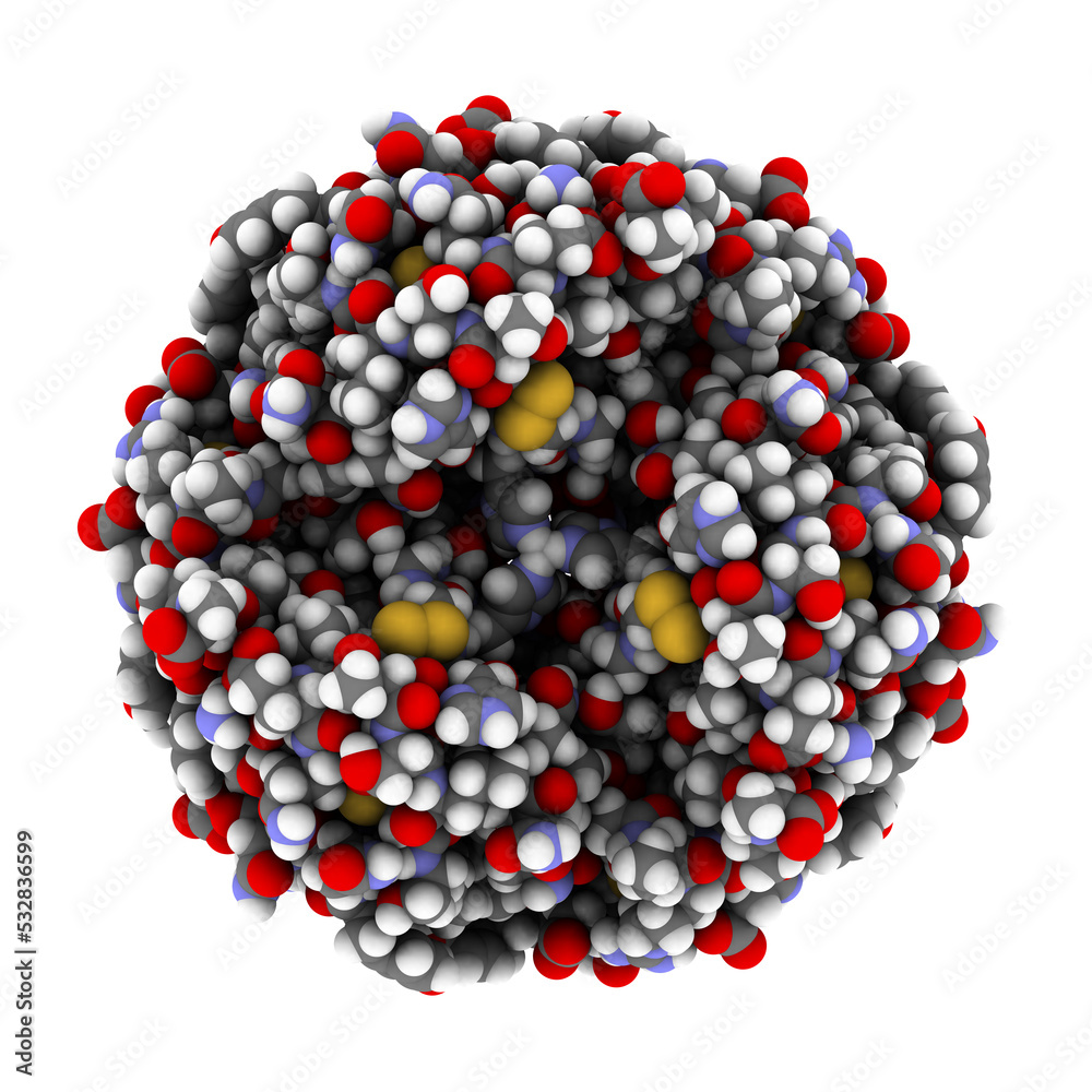 Insulin peptide hormone, chemical structure. Used in treatment of diabetes. Shown in het hexameric form, bound to zinc ions. Atoms are represented as spheres with conventional color coding.