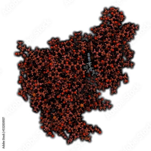 Janus kinase 1 protein. Part of JAK-STAT signalling pathway and drug target. photo