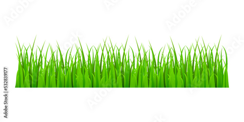 Green grass meadow border pattern. Grass background Illustration