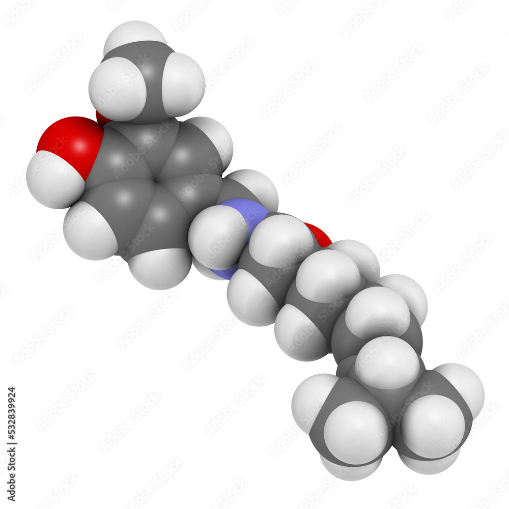 Capsaicin chili pepper molecule. Used in food, drugs, pepper spray, etc