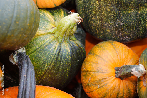 Pumpkin and squash on a table