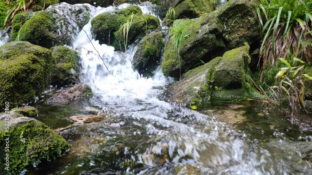 mountain river flowing through a green forest on a summer day. beautiful forest, flowing rocky river, green firs and trees. natural sound mountain river flowing through a green forest on a summer day. beautiful forest, flowing rocky river, green firs and trees. natural sound