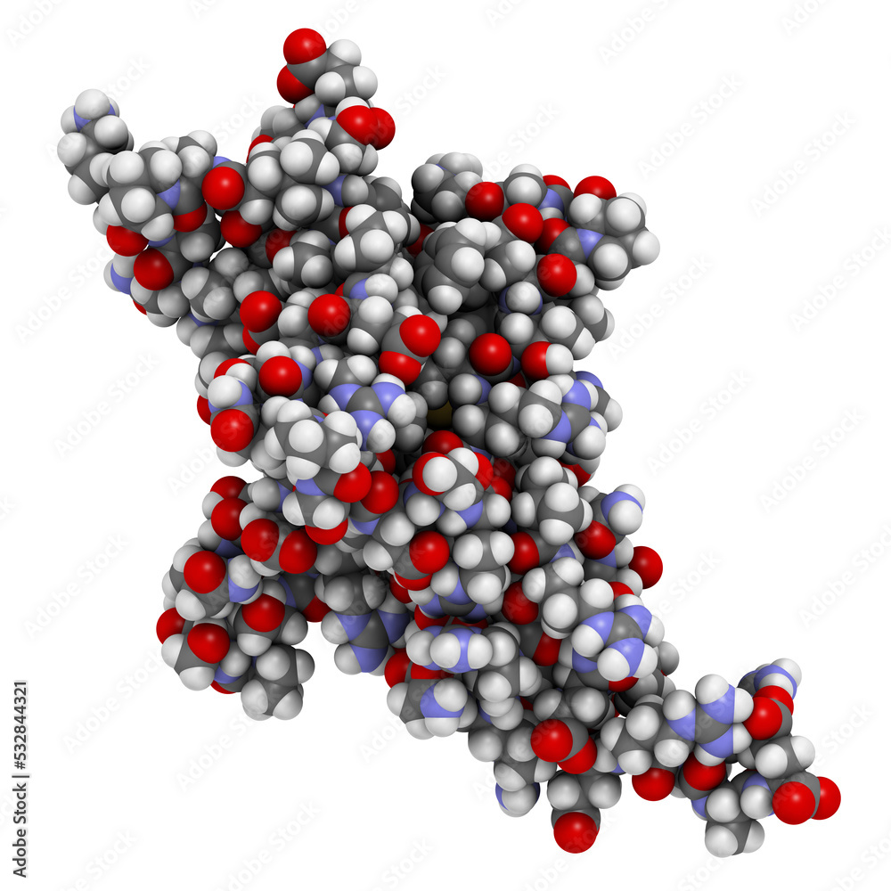 Programmed cell death 1 (PD-1, CD279) receptor protein. PD-1 is a major cancer drug target. Programmed cell death 1 (PD-1, CD279) receptor protein. PD-1 is a major cancer drug target.