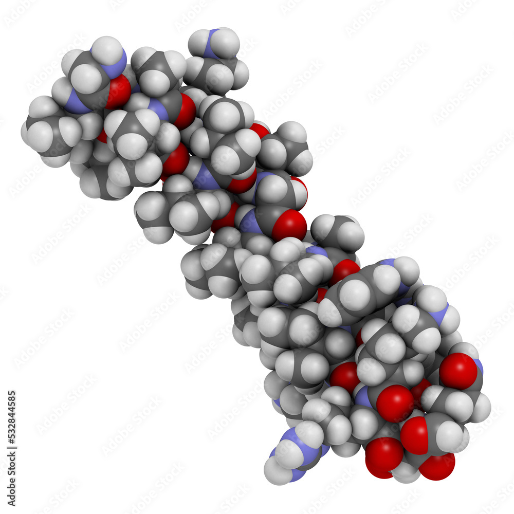Melittin peptide toxin. Major component of apitoxin (honey been venom). Melittin peptide toxin. Major component of apitoxin (honey been venom).