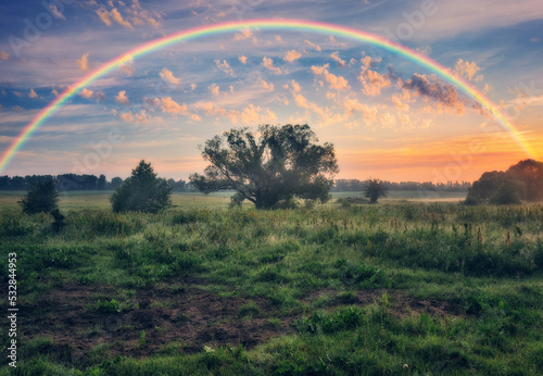 Rainbow over a meadow in the spring. colorful morning. landscape with tree