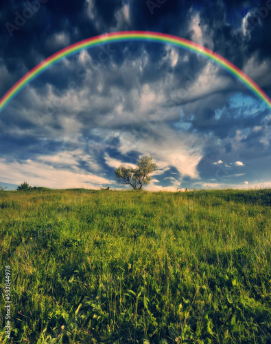 Rainbow over a meadow in the spring. colorful morning. landscape with tree