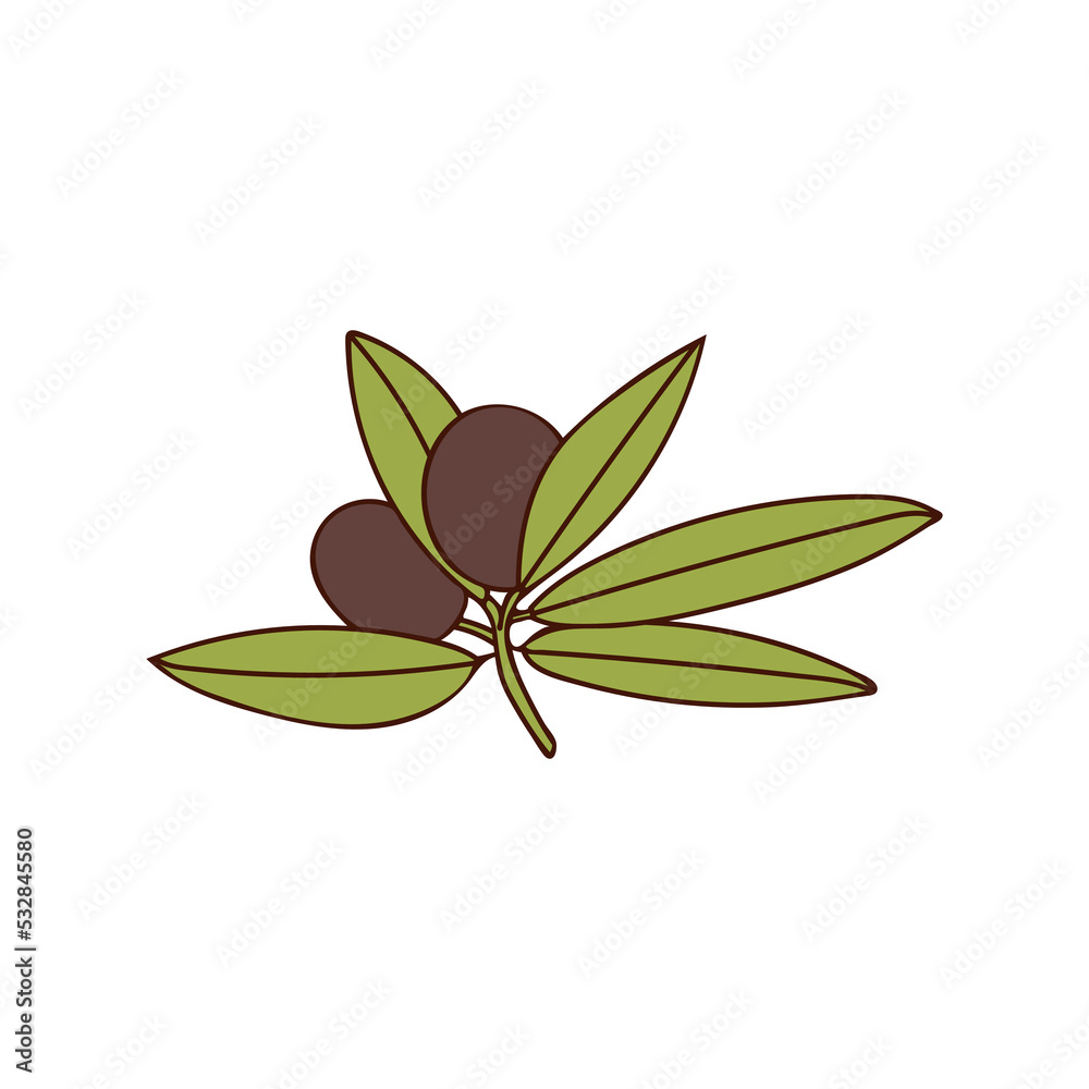 Olive branch with berry and leaf colorful doodle illustration. Olive branch illustration in vector on white backgroun. Olive branch with berry and leaf colorful doodle illustration. Olive branch illustration in vector on white backgroun.
