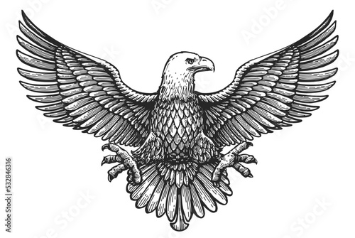 Eagle with spread wings. Royal symbol hand drawn sketch in vintage engraving style. Vector illustration